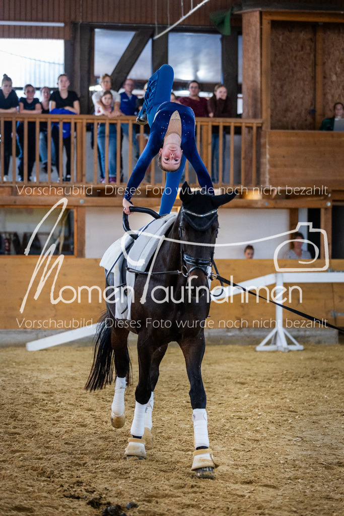 Einzel-009 | MomenTaufnahmen Pferdesportfotos