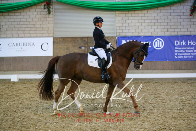 IMG_3001 | Turnierfotos kaufen im Webshop von Daniel Kuhl Photography – entdecke professionelle Reitsportfotos aus Turnieren & Events. Hochwertige Turnierbilder online bestellen & sichern. Jetzt Fotos von Reitsportturnieren kaufen!