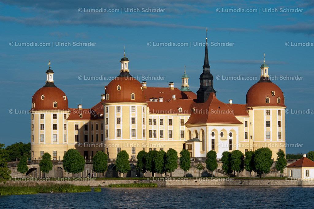 100491-3382 - Moritzburg bei Dresden | Stockfoto und Bilderpool mit Bildmaterial aus Deutschland, dem Harz, Halberstadt, Quedlinburg, Wernigerode und weltweit. Qualitativ hochwertige und professionelle Fotos anschauen und kaufen. - Realisiert mit Pictrs.com