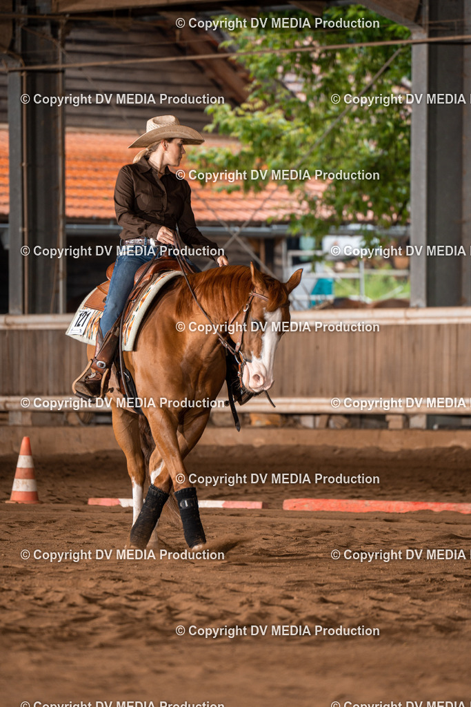 Erbach Tag 2-283 | dv-media-shop - Realisiert mit Pictrs.com