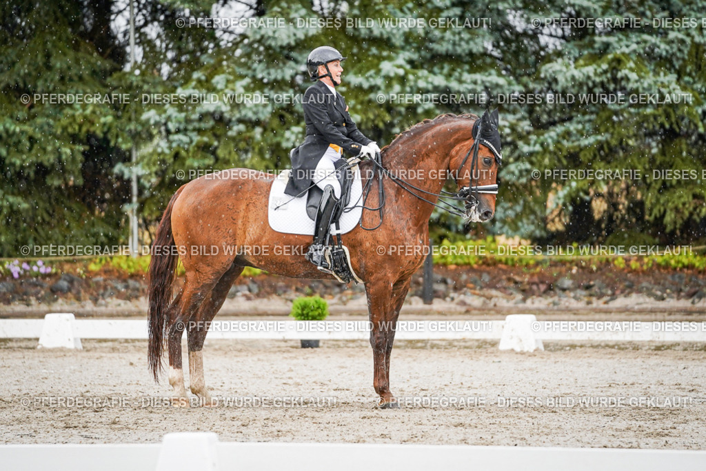 DSC09169 | Pferdegrafie