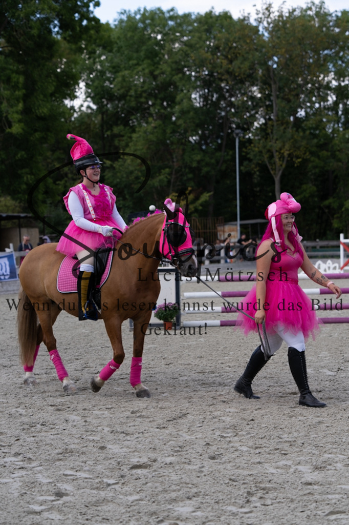 A7V07465 | Pferdefotograf