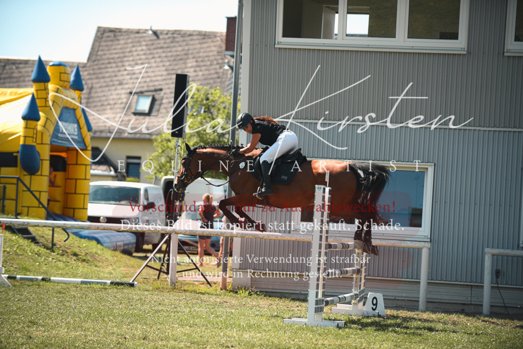 DSC_7108 | Pferde- und Turnierfotografie in Westsachsen. Pferdeportraits, Auftragszeichnungen und intuitive Kunst.