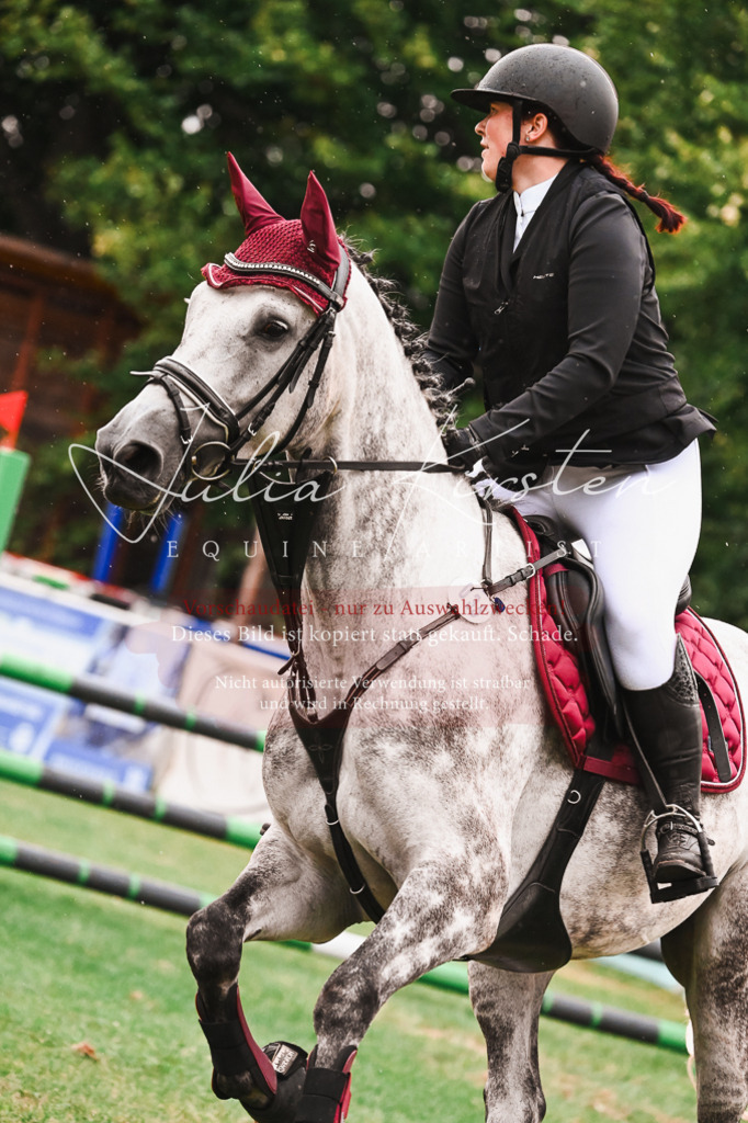 DSC_6366 | Pferde- und Turnierfotografie in Westsachsen. Pferdeportraits, Auftragszeichnungen und intuitive Kunst.
