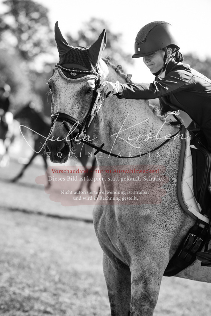 DSC_5443 | Pferde- und Turnierfotografie in Westsachsen. Pferdeportraits, Auftragszeichnungen und intuitive Kunst.