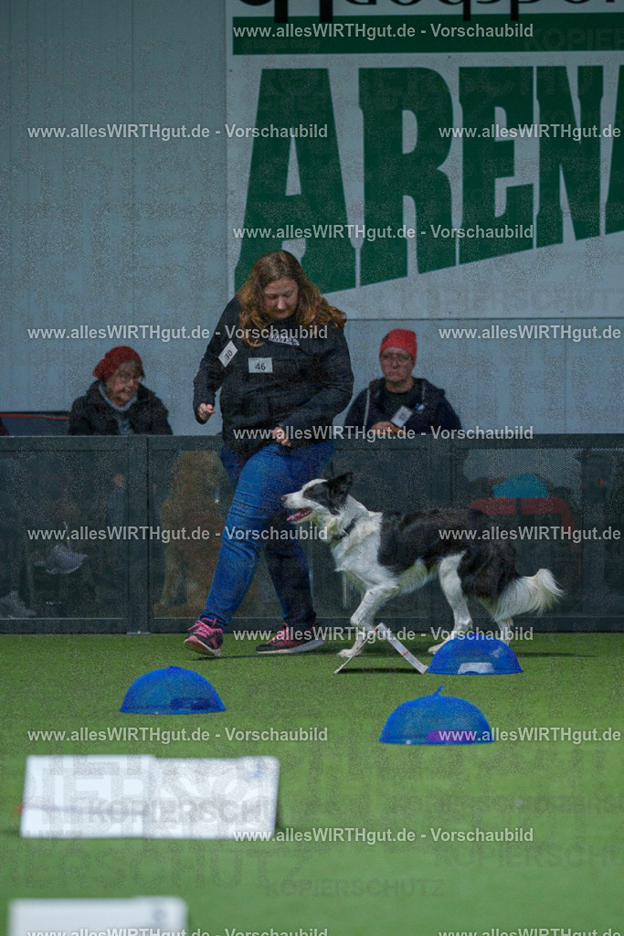 7R501376 | Professionelle Tierfotografie in Mönchengladbach von Daniel Wirth (allesWIRTHgut). Liebevolle & natürliche Bilder von Hunden & Katzen für unvergessliche Erinnerungen.