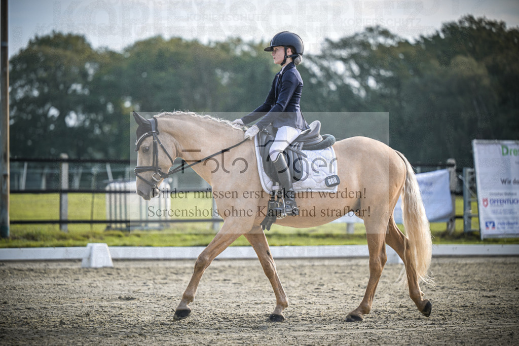 DOS_4926 | Entdecke hochwertige Reitturnierfotos von Foto Oger. Professionell, emotional und authentisch – jetzt Lieblingsmomente im Shop bestellen.Deutschlandweite Turnierfotografie. - Realisiert mit Pictrs.com