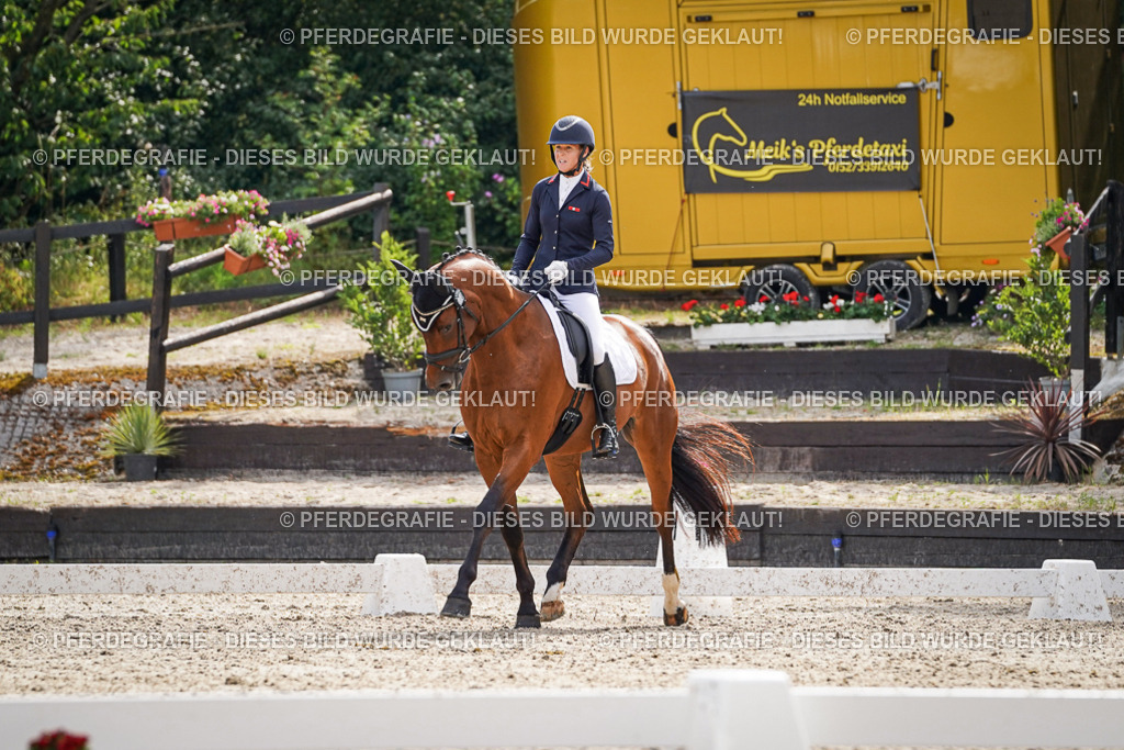 DSC07488 | Pferdegrafie