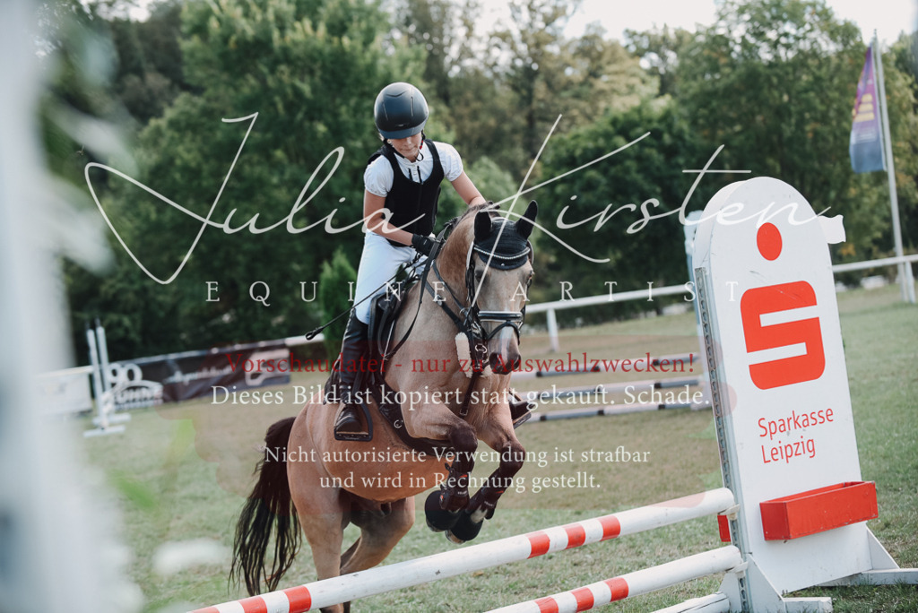 DSC_5858 | Pferde- und Turnierfotografie in Westsachsen. Pferdeportraits, Auftragszeichnungen und intuitive Kunst.