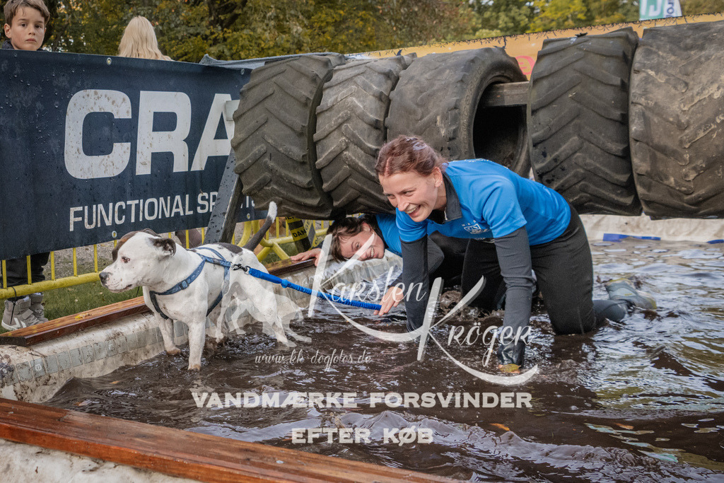 1446_ZZ90102 | kk-dogfotos