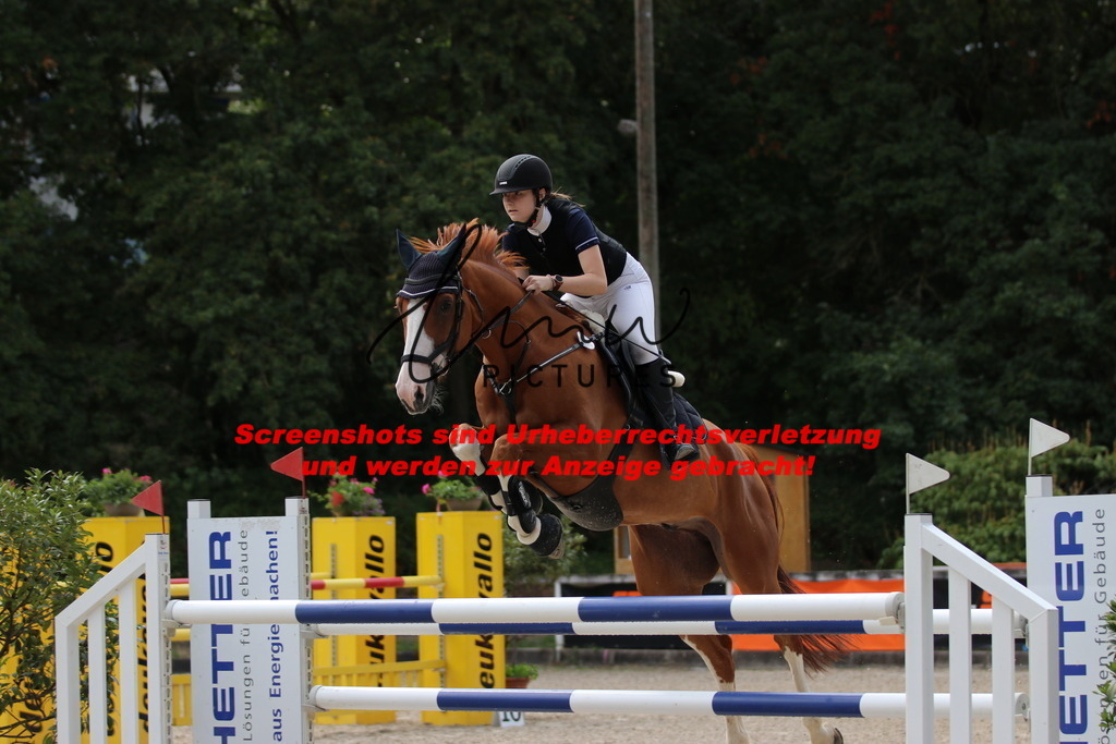 IMG_0609 | lmwpictures - Realisiert mit Pictrs.com