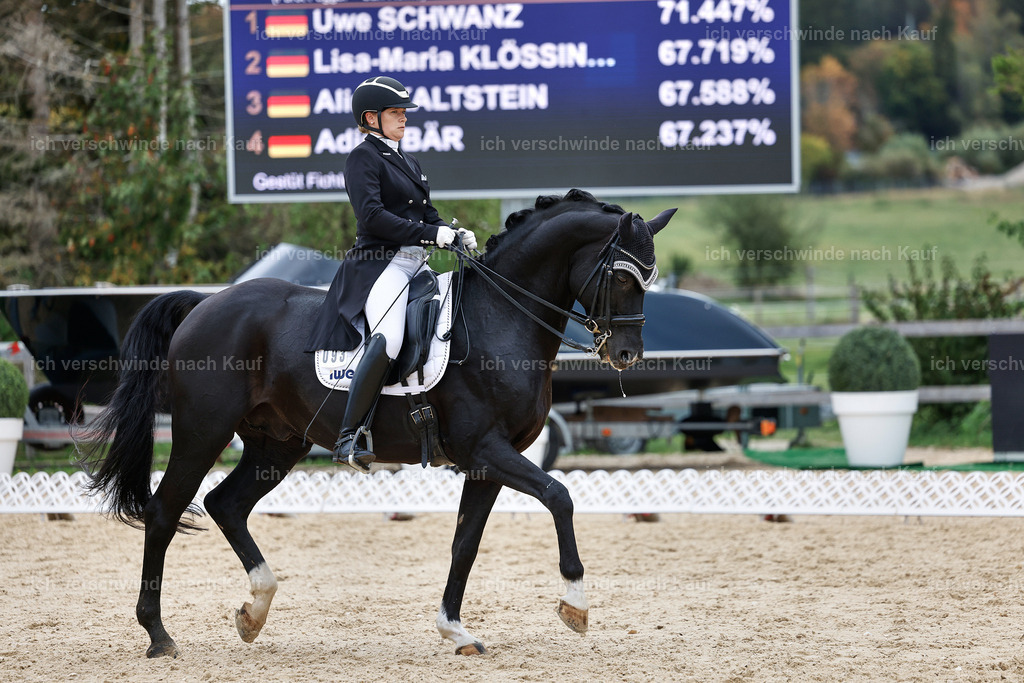 11-093-Dressur S___-StoibPH-1354 | working equitationturnier fotograf videograf stoibphotography marixx film working equitation deutschland reitsport turnierfotografie eventfotografie equestrian events
