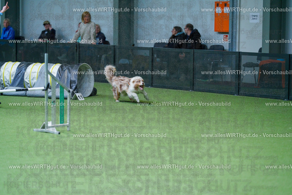 @allesWIRTHgut_Tierfotografie - www.allesWIRTHgut.de - 2604251051-7R500309 | Professionelle Tierfotografie in Mönchengladbach von Daniel Wirth (allesWIRTHgut). Liebevolle & natürliche Bilder von Hunden & Katzen für unvergessliche Erinnerungen.