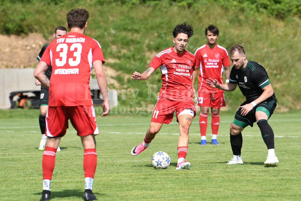 TSV Seebach 2026/27 | Michael Dietl  (TSV Seebach #11) - Realisiert mit Pictrs.com