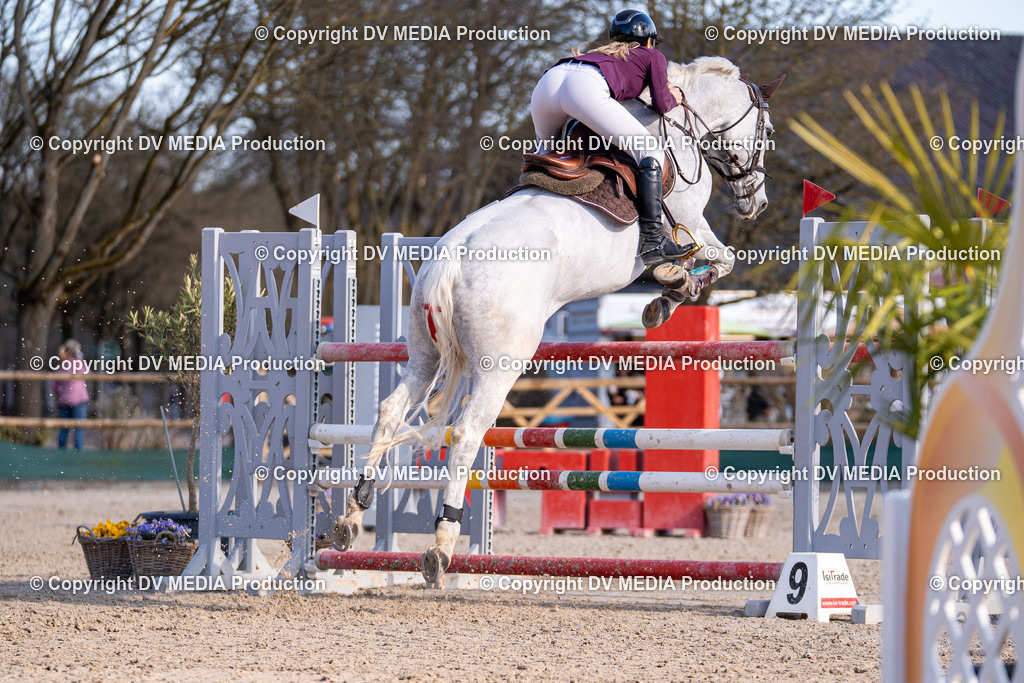 Kranichstein Tag 2-0967 | dv-media-shop - Realisiert mit Pictrs.com