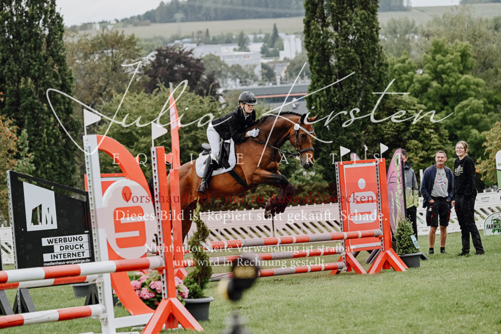 DSC_7025 | Pferde- und Turnierfotografie in Westsachsen. Pferdeportraits, Auftragszeichnungen und intuitive Kunst.