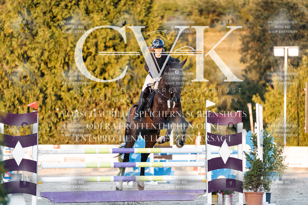 CK901282 | Turnierfotografie Pferdefotografie Trier Rheinland-Pfalz Pferdesport Reitsport Tierfotografie Sportfotografie Pferdevideo Pferdevideografie Equestrianvideography equestrianphotography  - Realisiert mit Pictrs.com