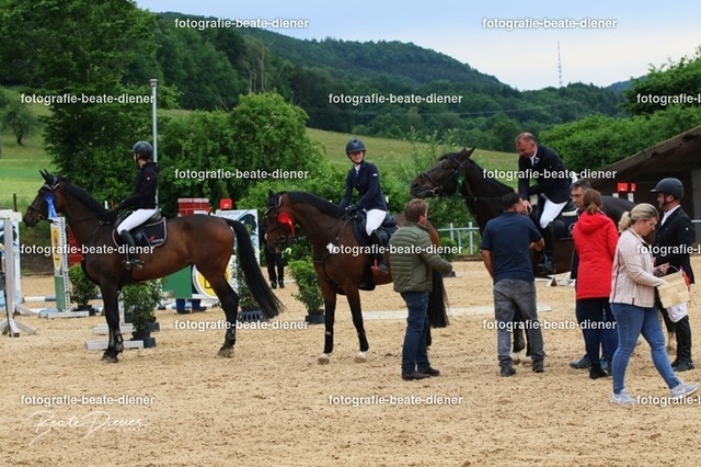 OHT0531 | Fotografie, Tiere, Hunde, Katzen, Pferde, Sportfotografie, Fotosession, Tierfotografie, Turnierfotografie, Fotografin, Fotograf - Realisiert mit Pictrs.com