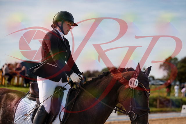2026_10_03_Siefer-Hof_132144_Z63_83810637 | Professionelle Reitsport-, Turnier- und Eventfotografie von Robert Broda. Galerien mit ausgewählten und bearbeiteten Bildern direkt online ansehen und bestellen.