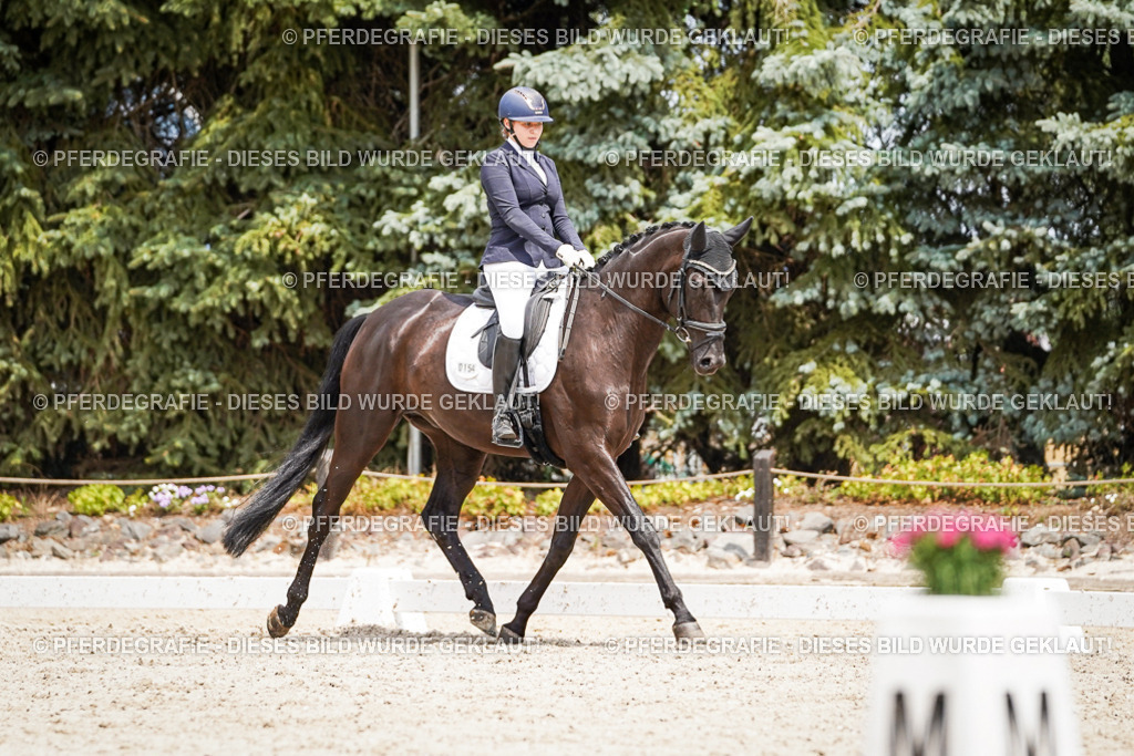 DSC03480 | Pferdegrafie