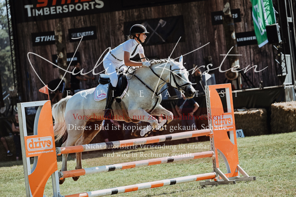 DSC_6087 | Pferde- und Turnierfotografie in Westsachsen. Pferdeportraits, Auftragszeichnungen und intuitive Kunst.