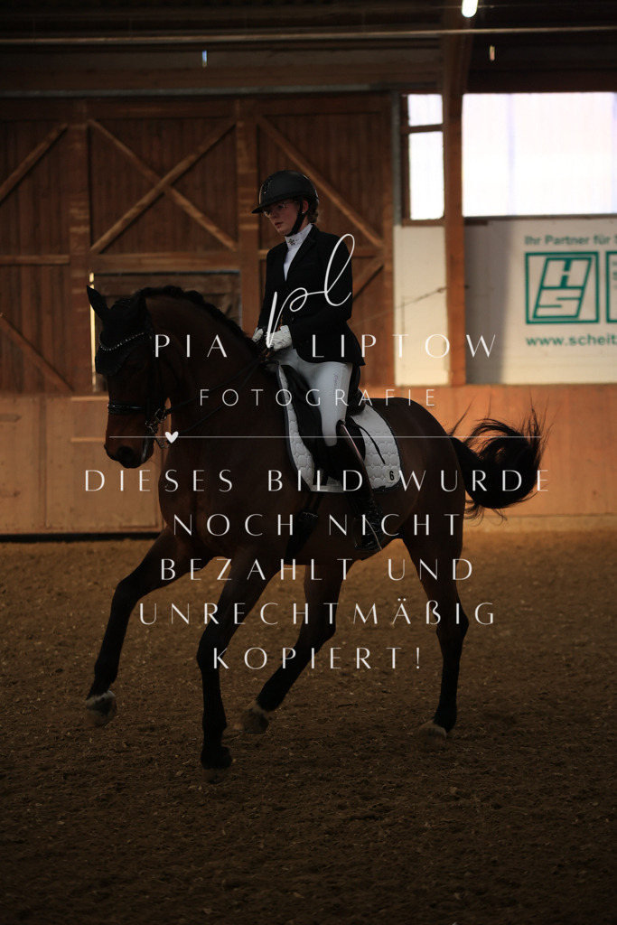 IMGT0838 | pl-fotografie