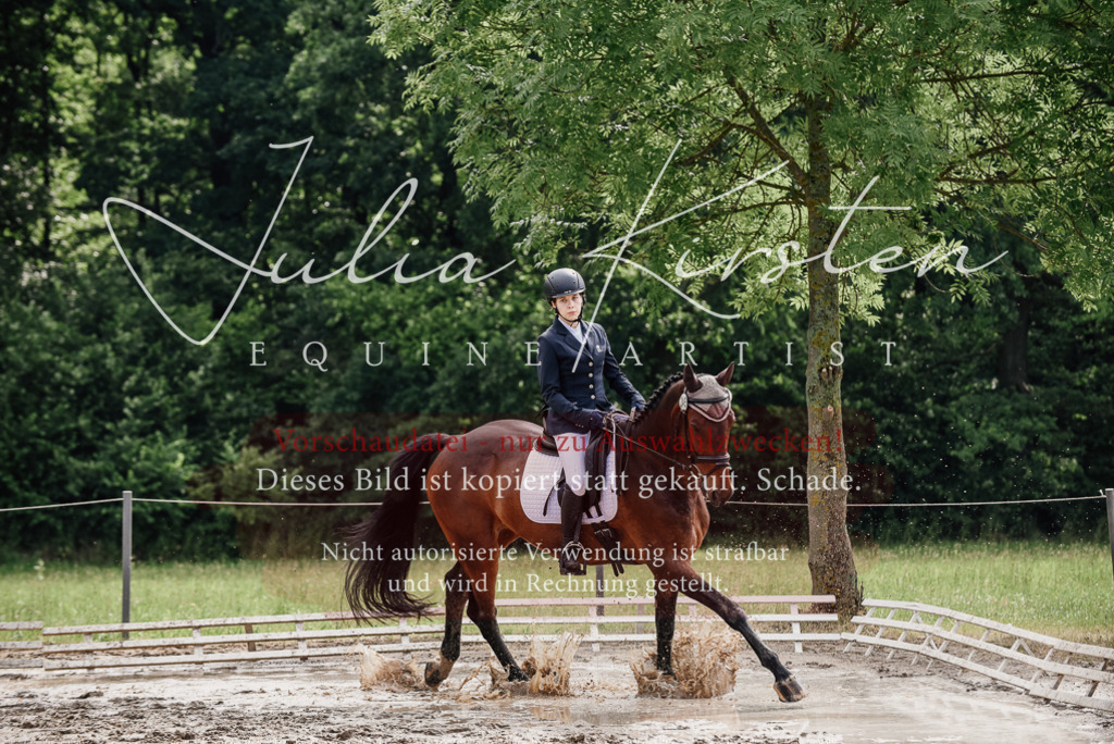 DSC_9634 | Pferde- und Turnierfotografie in Westsachsen. Pferdeportraits, Auftragszeichnungen und intuitive Kunst.