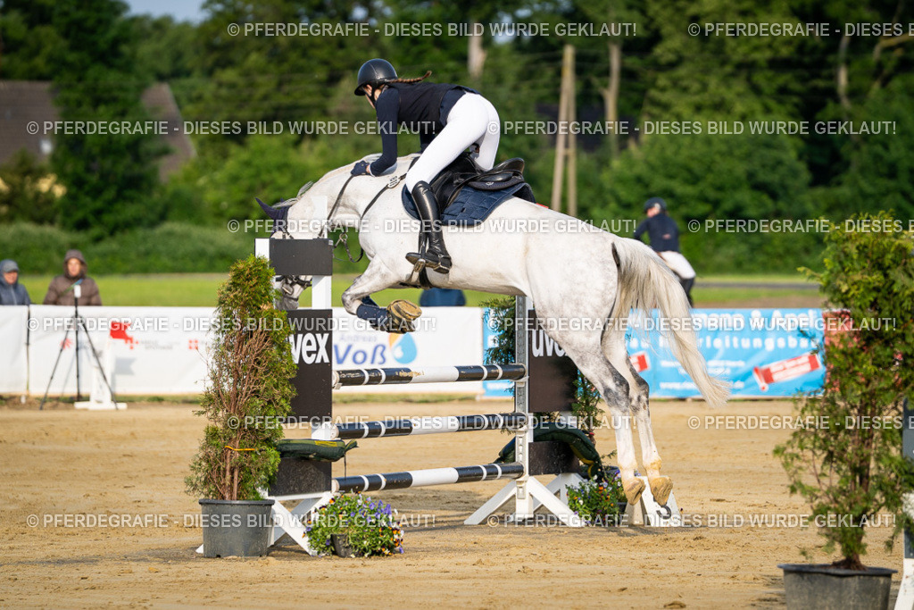 DSC02353 | Pferdegrafie