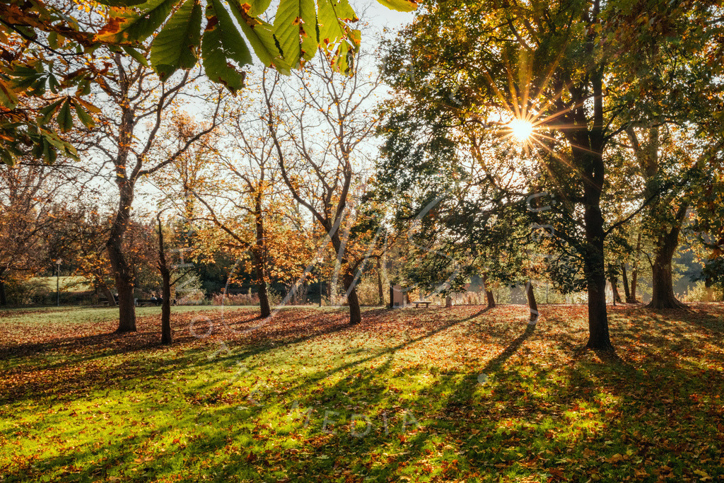 2024-10-29 Schloss Monrepos Herbst 016-2 | Schwotte Media - Realisiert mit Pictrs.com