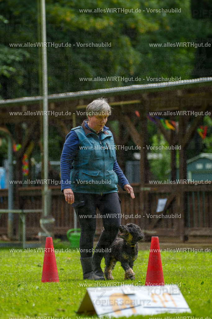 @allesWIRTHgut_Tierfotografie - www.allesWIRTHgut.de - 092914-7R507186 | Professionelle Tierfotografie in Mönchengladbach von Daniel Wirth (allesWIRTHgut). Liebevolle & natürliche Bilder von Hunden & Katzen für unvergessliche Erinnerungen.