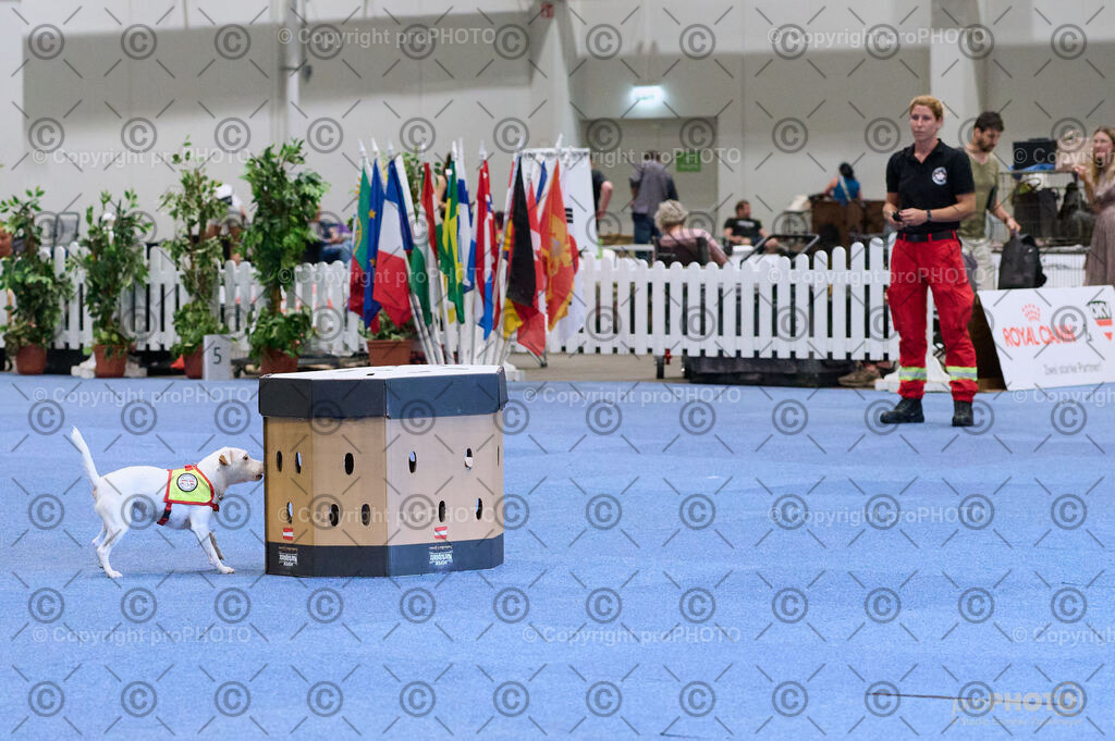 202406_ÖKV-IHA-Tulln24_DSC_3486 | proPHOTO - Realisiert mit Pictrs.com