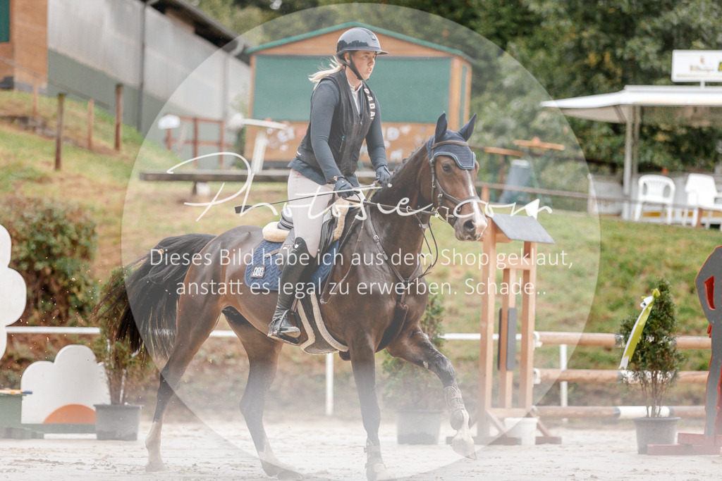 3I6A5585 | Stimmungsvolle Portraits und Reitsportfotografie im Ruhrgebiet und im Münsterland.

Pferdefotografie, Hundefotografie, Tierfotografie, Reportagen, Portraits von Tier und Mensch, Turnierfotografie in Bochum, Recklinghausen, Marl, Haltern am See, Dülmen.. - Realisiert mit Pictrs.com