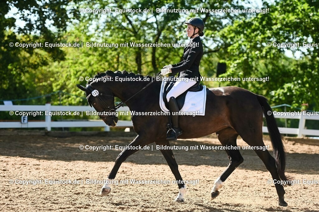 20230715_06_Dressurpferdeprfg. Kl.A_0369 | equistock