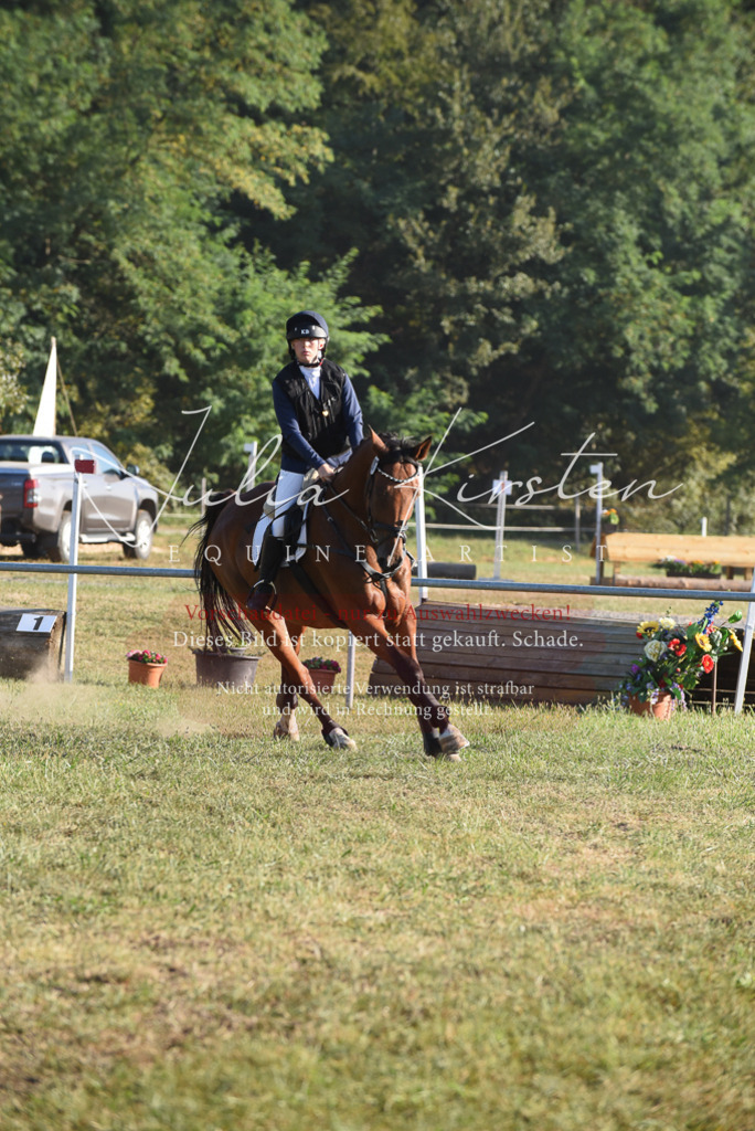 DSC_5004 | Pferde- und Turnierfotografie in Westsachsen. Pferdeportraits, Auftragszeichnungen und intuitive Kunst.