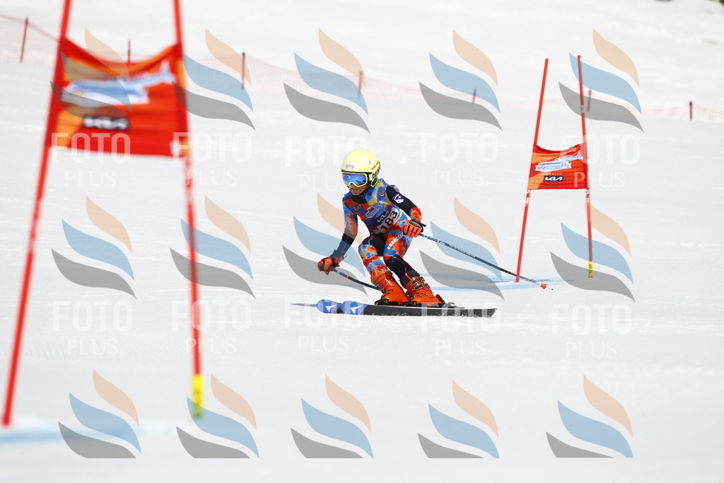 _U3G4803 | holidayphoto