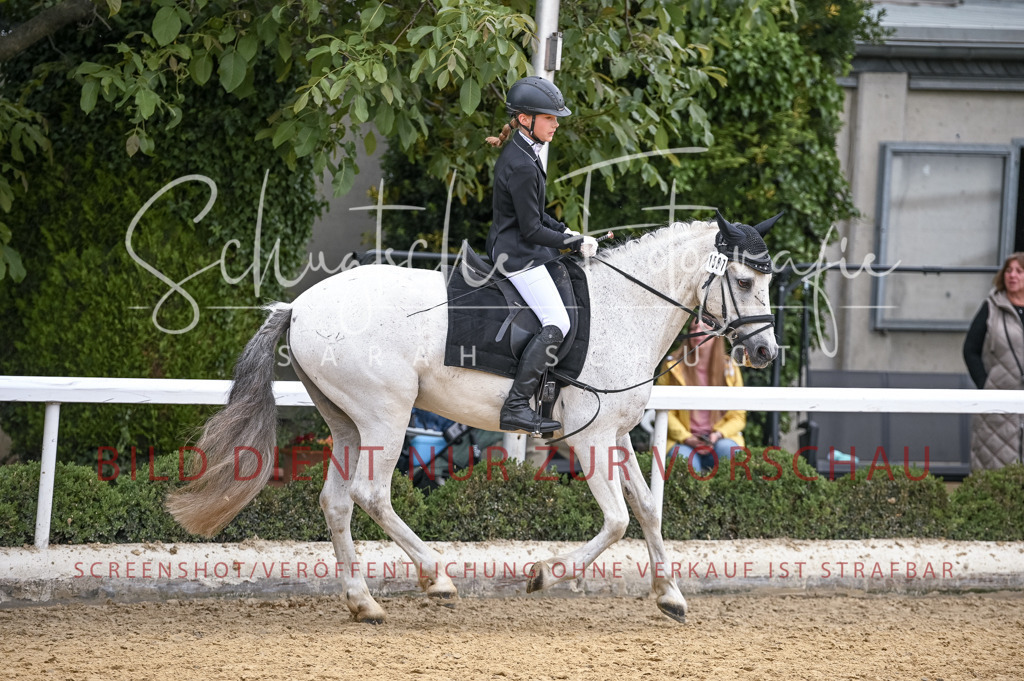 Schugtsche-Aluta25-44.DresssurreiterWB-70 | Schugtsche Fotografie - Realisiert mit Pictrs.com