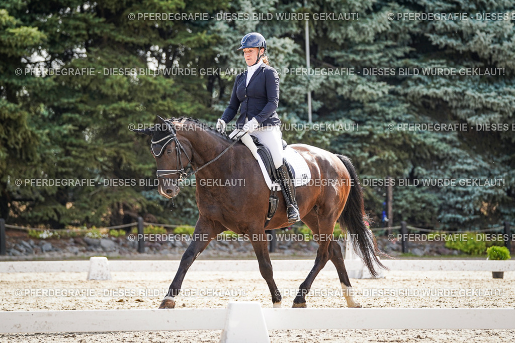 DSC06946 | Pferdegrafie