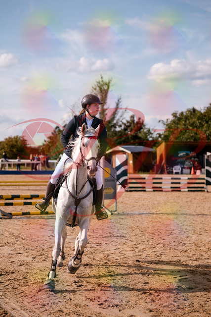 2026_10_03_Siefer-Hof_153908_Z81_53829448 | Professionelle Reitsport-, Turnier- und Eventfotografie von Robert Broda. Galerien mit ausgewählten und bearbeiteten Bildern direkt online ansehen und bestellen.