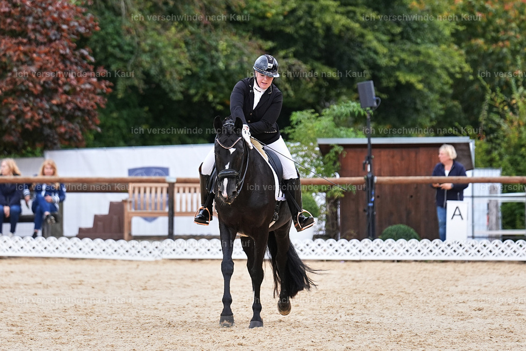 04_1-135-Dressur M__ -Marixx-2728 | working equitationturnier fotograf videograf stoibphotography marixx film working equitation deutschland reitsport turnierfotografie eventfotografie equestrian events