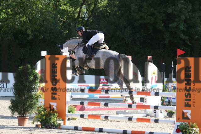 Weilheim_2023_Prfg.Nr.09_Qualifikation_PSA-Tour_Lisa Zoller Arezzo Man (8) | Alle Fotos der Reiterjournal Fotografin Doris Matthaes im Reiterjournal Online-Fotoshop. - Realisiert mit Pictrs.com