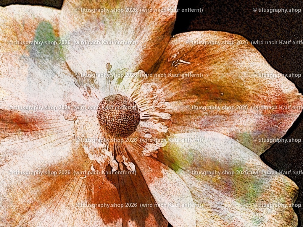 titusgraphy_P9080888-vz-ln_pe-04 | titusgraphy-shop: Geschenkideen mit Qualitätsfotos. titusgraphy-shop: gift ideas with quality photos. titusgraphy-shop: idées cadeaux avec photos de qualité.  - Realisiert mit Pictrs.com