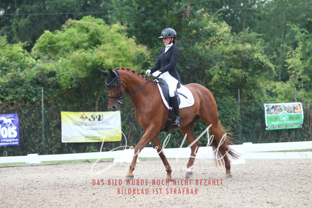 DKP40103 | Turniersportfotografie; Pferdefotografie; Dressurfotografie