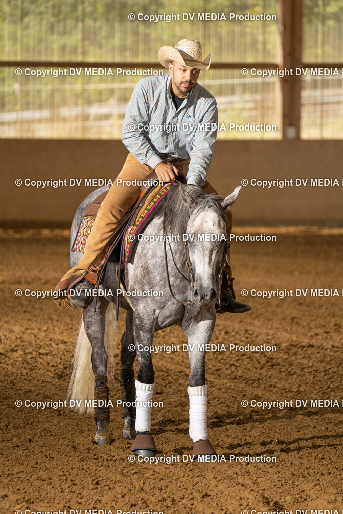 LAU01585 | dv-media-shop - Realisiert mit Pictrs.com