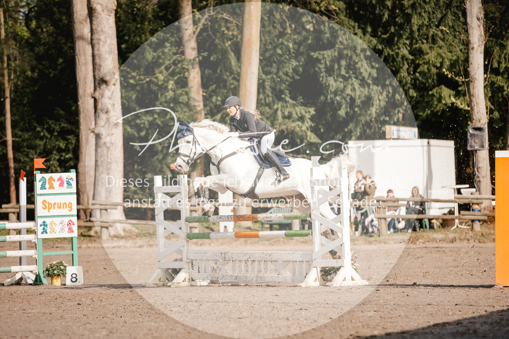 3I6A3519 | Stimmungsvolle Portraits und Reitsportfotografie im Ruhrgebiet und im Münsterland.

Pferdefotografie, Hundefotografie, Tierfotografie, Reportagen, Portraits von Tier und Mensch, Turnierfotografie in Bochum, Recklinghausen, Marl, Haltern am See, Dülmen.. - Realisiert mit Pictrs.com
