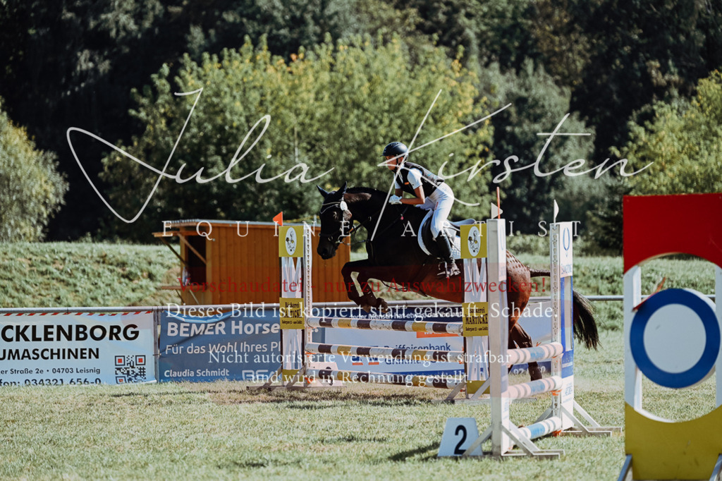 DSC_6771 | Pferde- und Turnierfotografie in Westsachsen. Pferdeportraits, Auftragszeichnungen und intuitive Kunst.