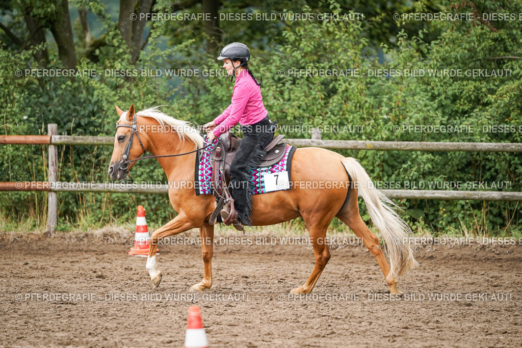 DSC03823 | Pferdegrafie