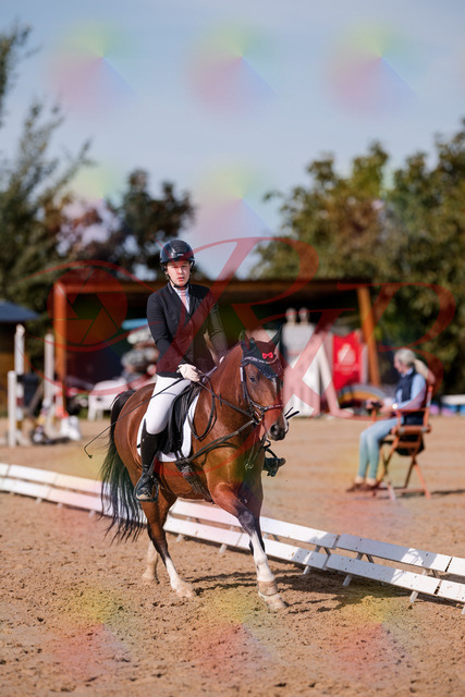 2026_10_03_Siefer-Hof_115753_Z81_99412083 | Professionelle Reitsport-, Turnier- und Eventfotografie von Robert Broda. Galerien mit ausgewählten und bearbeiteten Bildern direkt online ansehen und bestellen.