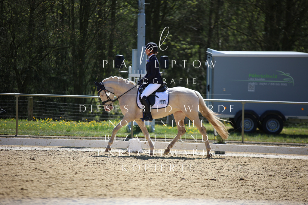 IMGT1249 | pl-fotografie