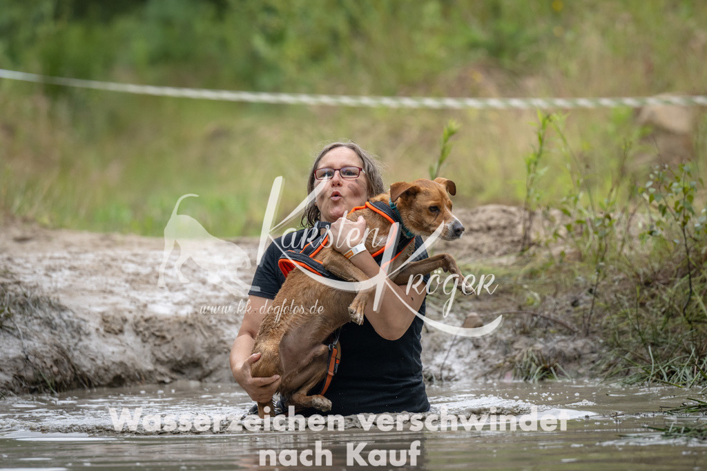 1331_ZZ90294 | kk-dogfotos