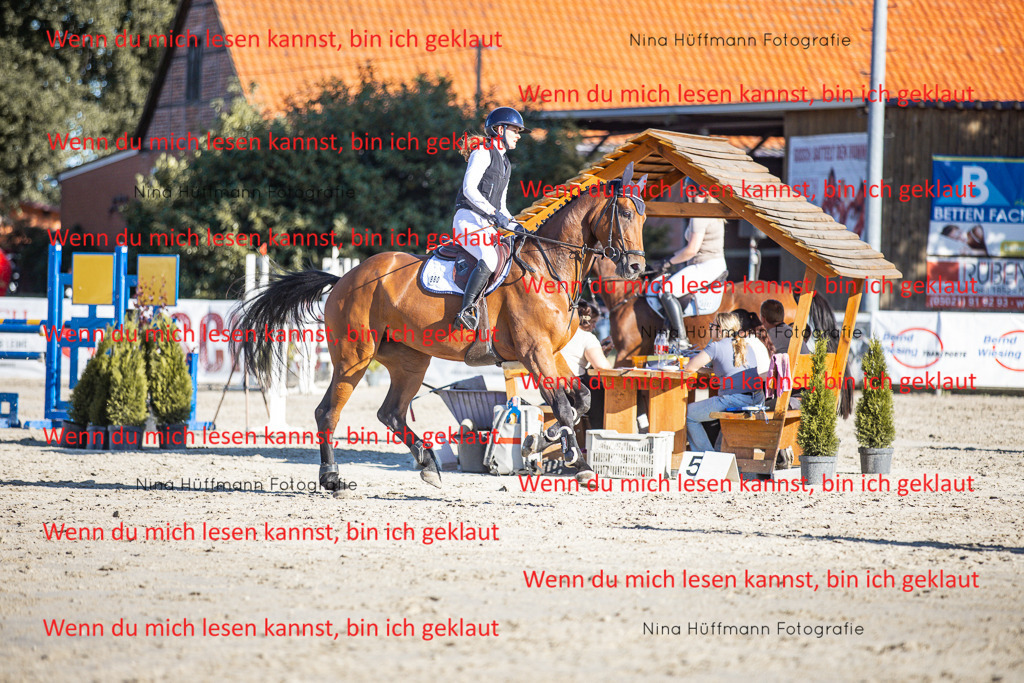 BK1A7693 | Turnierbilder Turnierfotos Nina Hüffmann Turnierfotografie Pferdefotografie Tierzeichnung Haustierzeichnung Pferdezeichnung Hundezeichnung Videograf  - Realisiert mit Pictrs.com